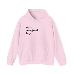 Now Be a Good boy - Hooded Sweatshirt