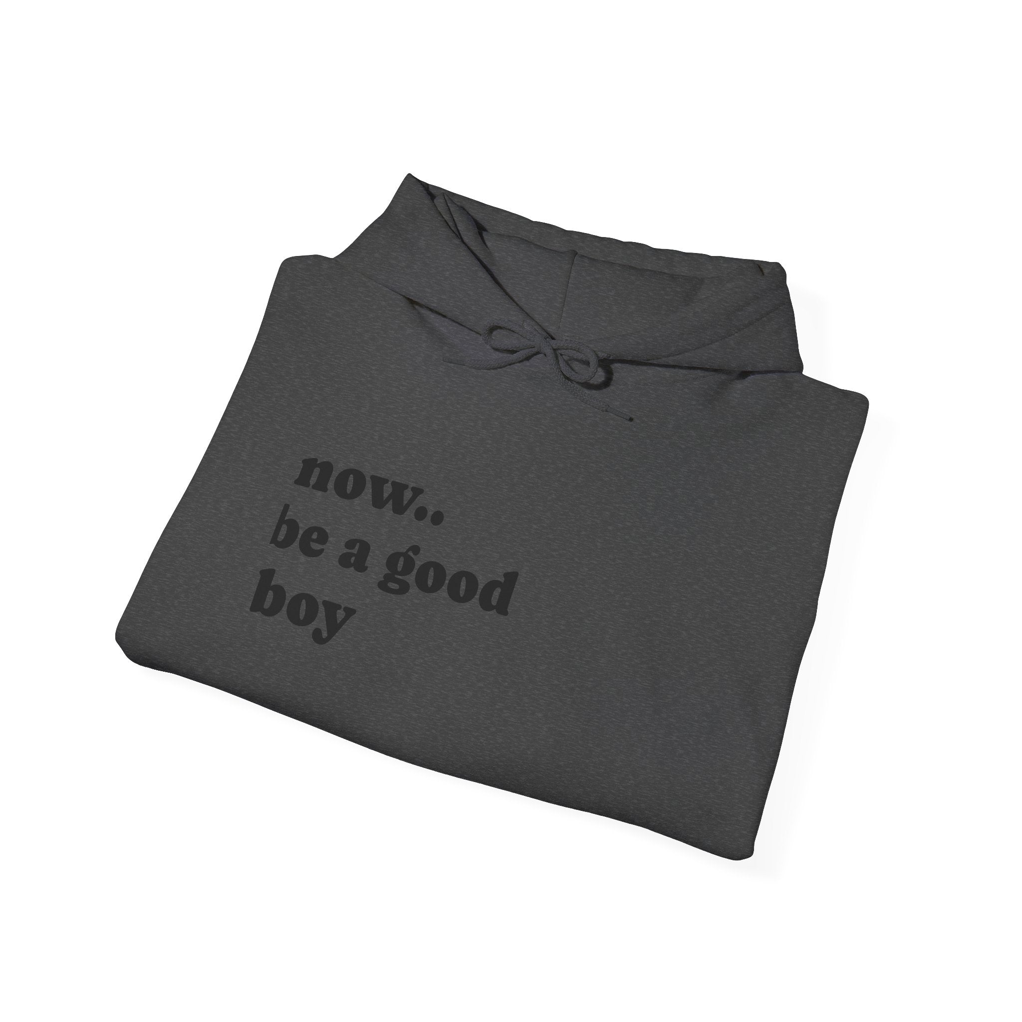 Now Be a Good boy - Hooded Sweatshirt