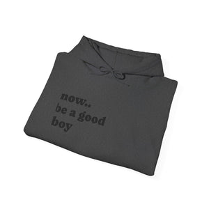 Now Be a Good boy - Hooded Sweatshirt