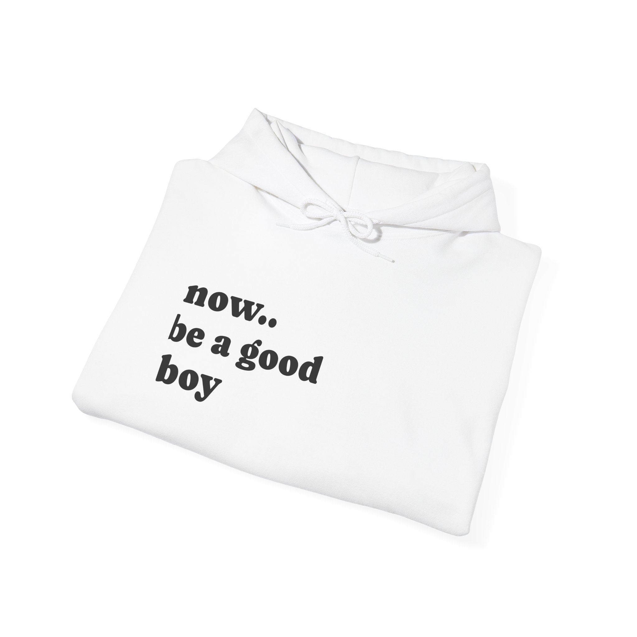 Now Be a Good boy - Hooded Sweatshirt