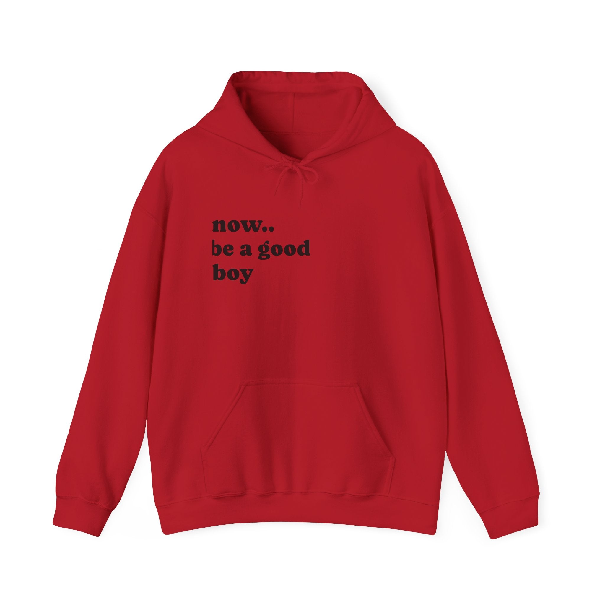 Now Be a Good boy - Hooded Sweatshirt