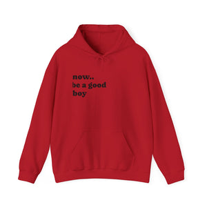 Now Be a Good boy - Hooded Sweatshirt