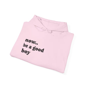 Now Be a Good boy - Hooded Sweatshirt