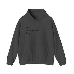 Now Be a Good boy - Hooded Sweatshirt