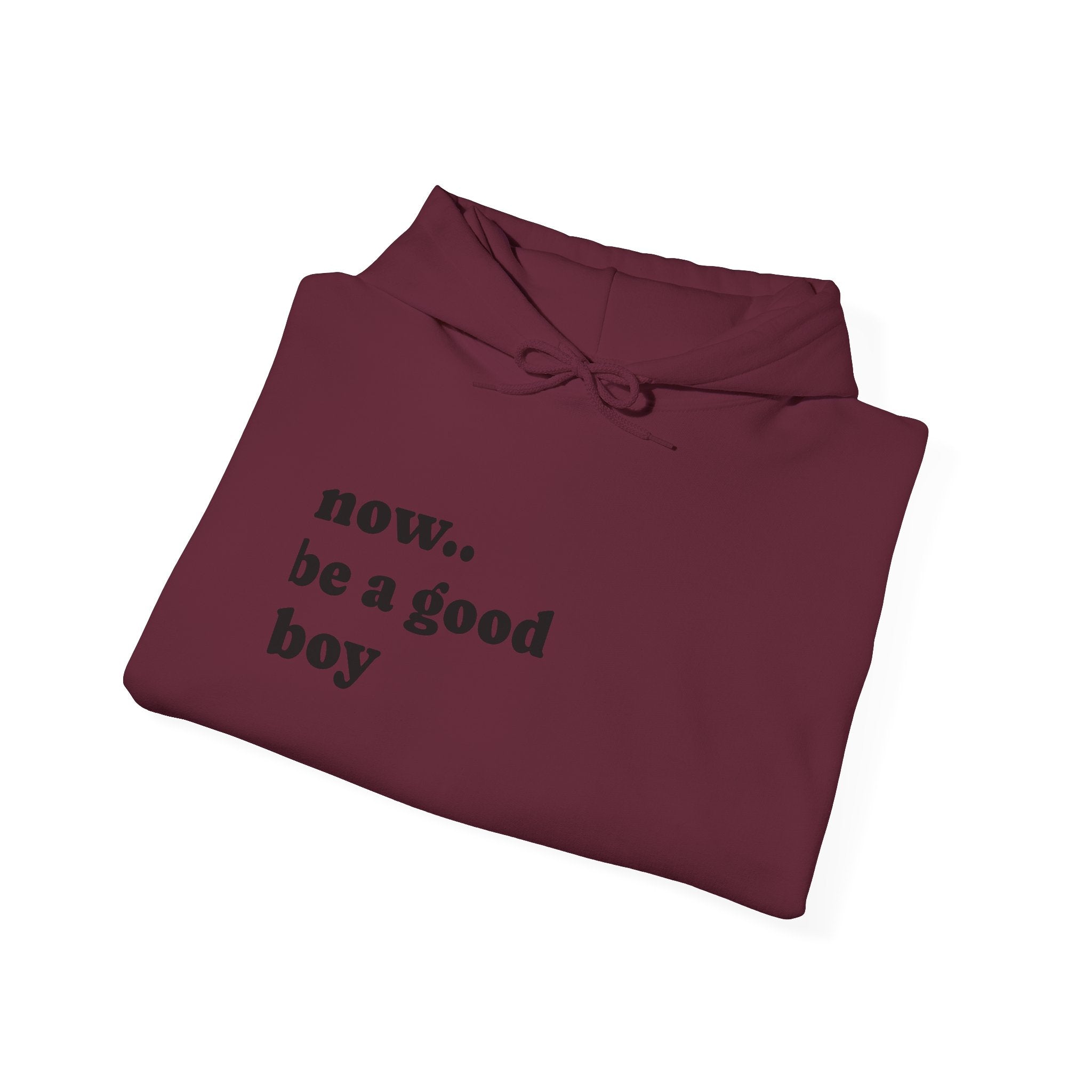 Now Be a Good boy - Hooded Sweatshirt