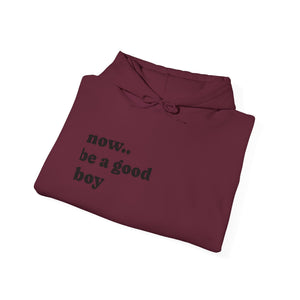 Now Be a Good boy - Hooded Sweatshirt