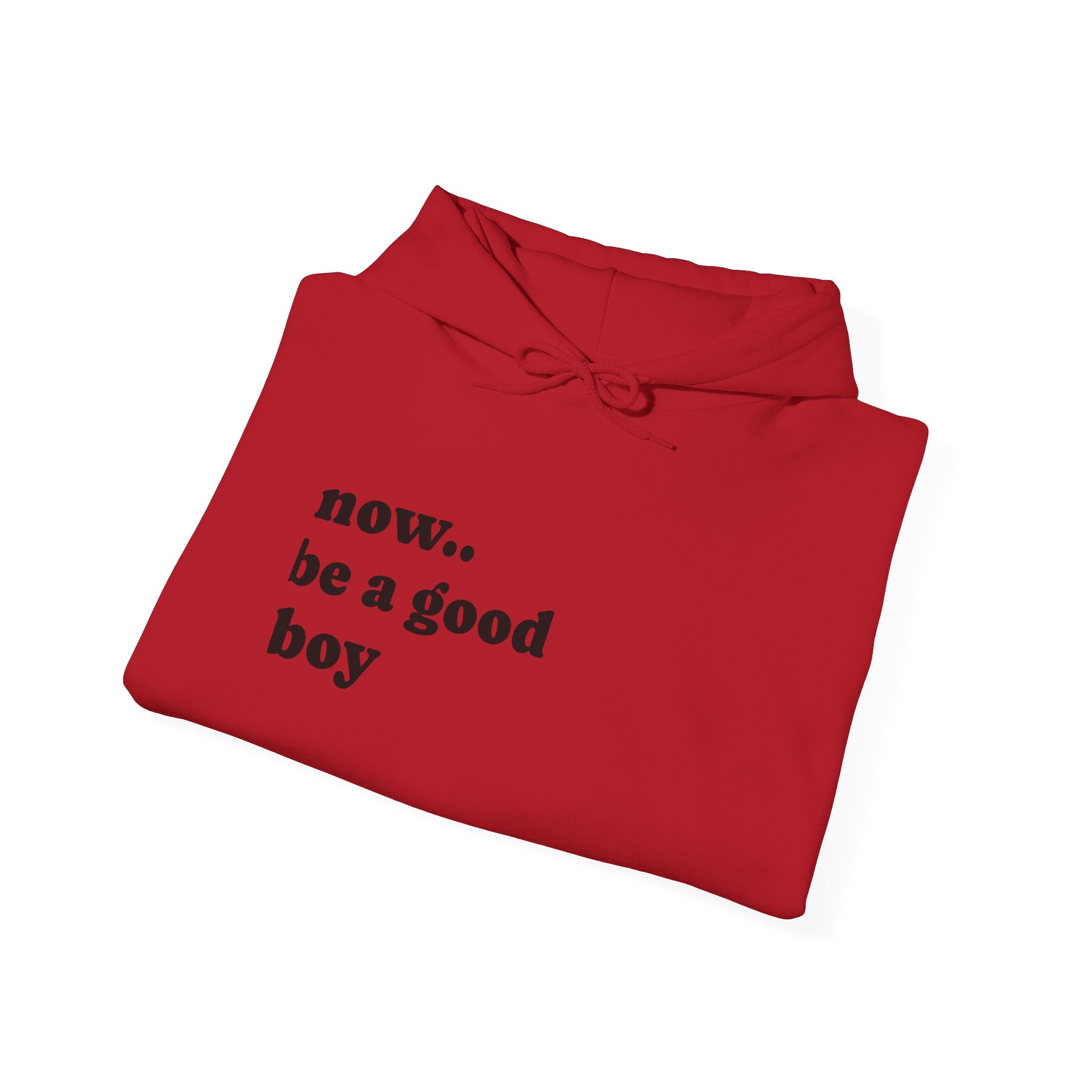 Now Be a Good boy - Hooded Sweatshirt