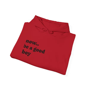Now Be a Good boy - Hooded Sweatshirt
